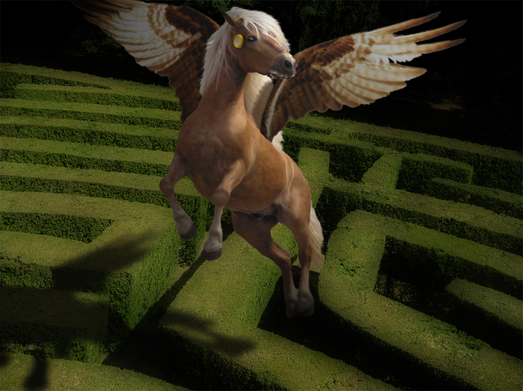 Photoshop Design by bicyclewilli for DesignCrowd (Community Contests) | Design #8949965