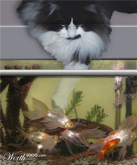 Photoshop Design by kathiess