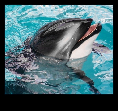 Photography by JoneSyMouSeY for DesignCrowd (Community Contests) | Design #8947416