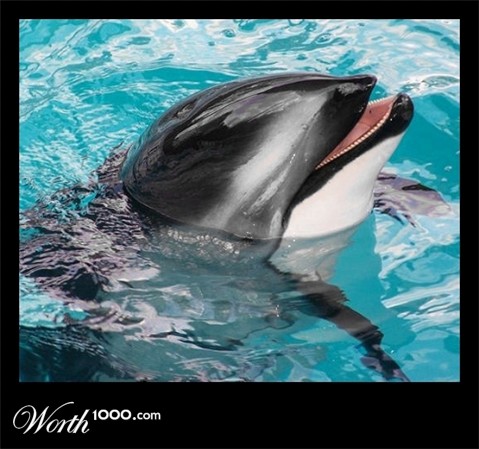 Photography by JoneSyMouSeY