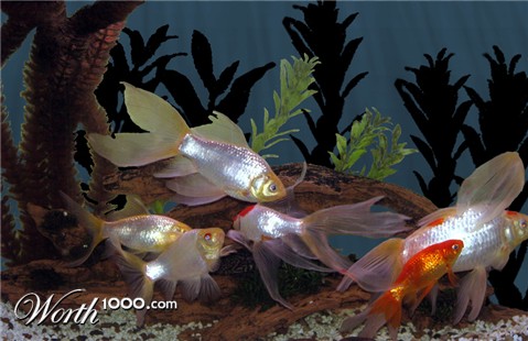 Photoshop Design by JessBurnette