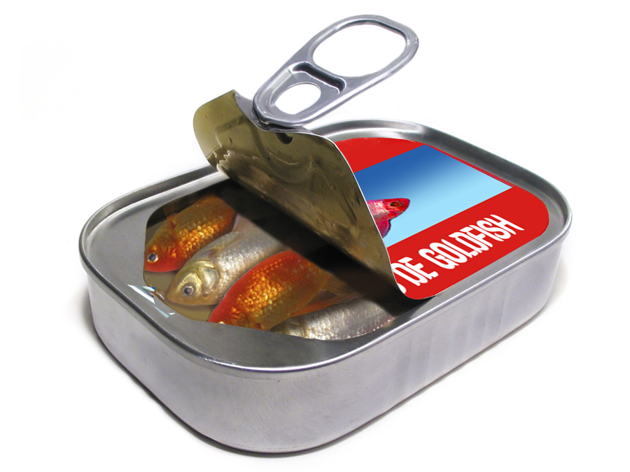 Photoshop Design by sunny2Day for DesignCrowd (Community Contests) | Design #8946941