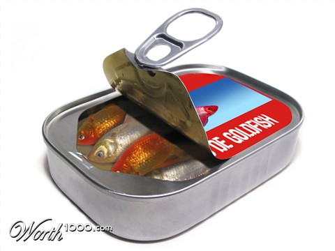 Photoshop Design by sunny2Day