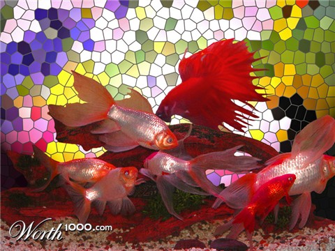 Photoshop Design by janefrog