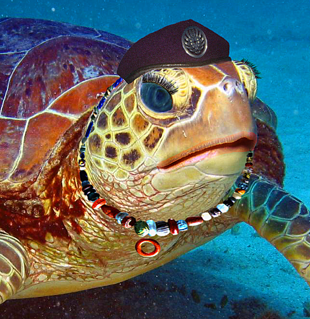 Photoshop Design by Smgkw123 for DesignCrowd (Community Contests) | Design #8951439