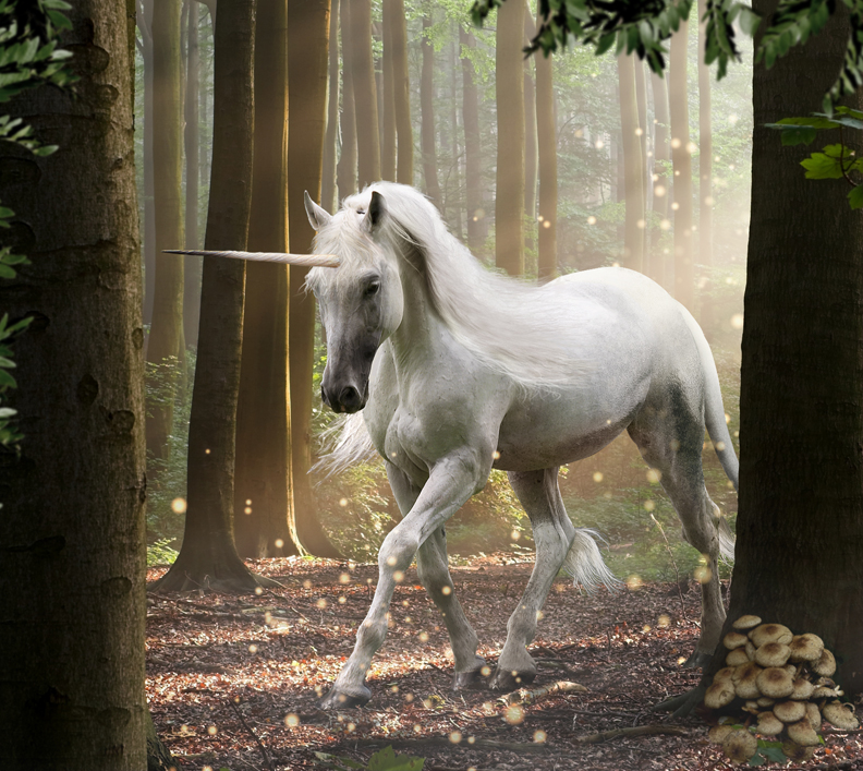 Photoshop-Design von sunr33 für DesignCrowd (Community Contests) | Design #8949936