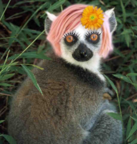 Photoshop Design by Ivolangel for DesignCrowd (Community Contests) | Design #8951497