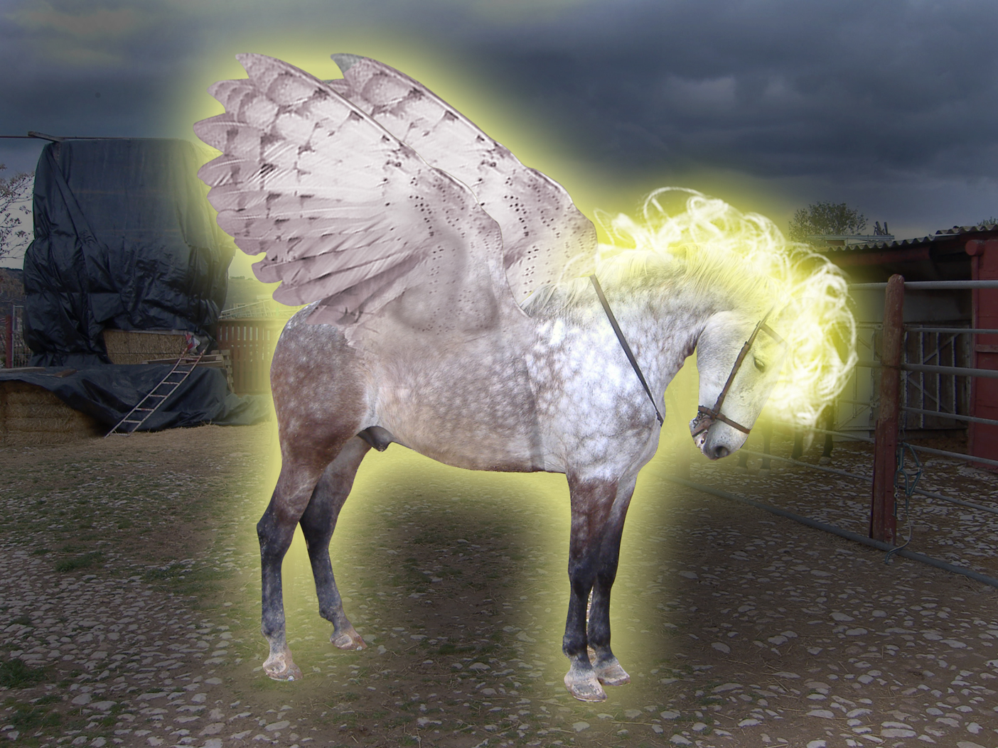 Photoshop-Design von PixelTestMT für DesignCrowd (Community Contests) | Design #8950023