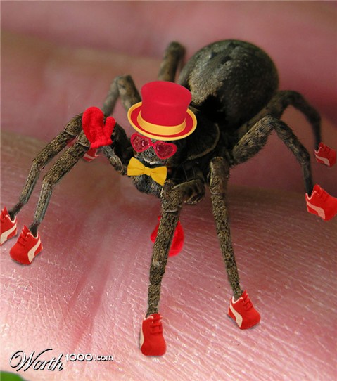 Photoshop Design by Rubees