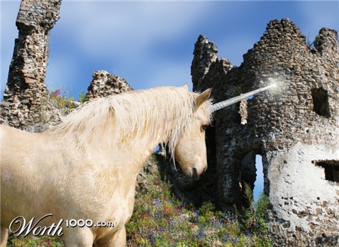 Photoshop Design by YearoftheDragon