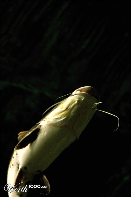 Photography by margold