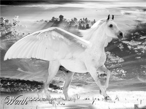 Photoshop Design by EKelman