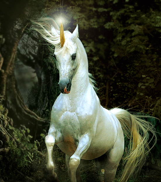 Diseño de Photoshop por Mandrak para DesignCrowd (Community Contests) | Diseño #8949956