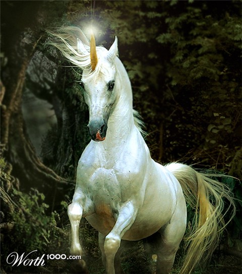 Photoshop Design by Mandrak