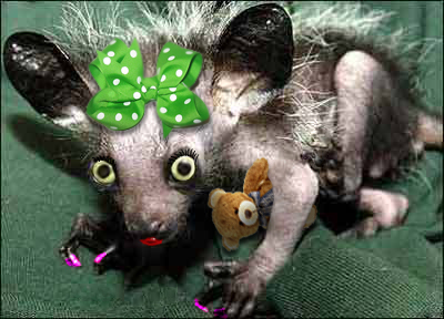 Photoshop Design by almightyknighty for DesignCrowd (Community Contests) | Design #8951523