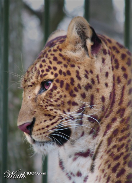 Photoshop Design by Larssonpsd