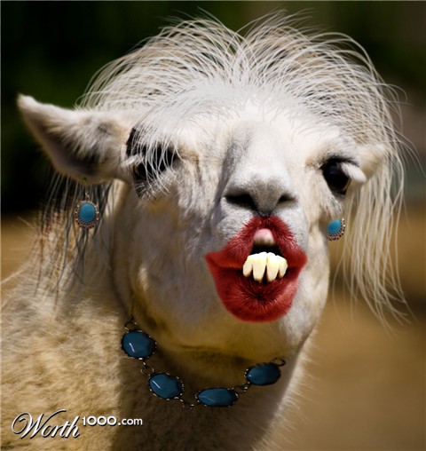 Photoshop Design by kevmannnn