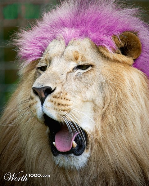 Photoshop Design by oruart