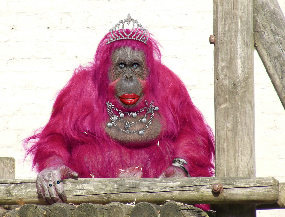 Design Photoshop par stormr pour DesignCrowd (Community Contests) | Design #8951467