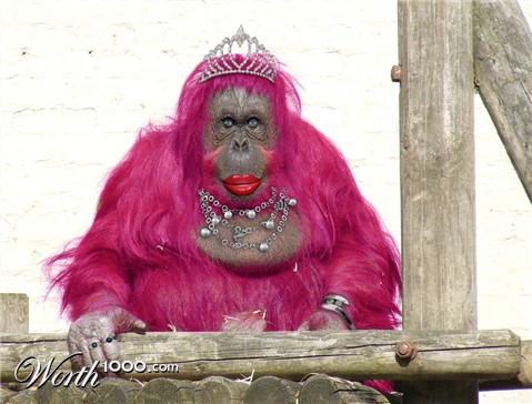 Photoshop Design by stormr