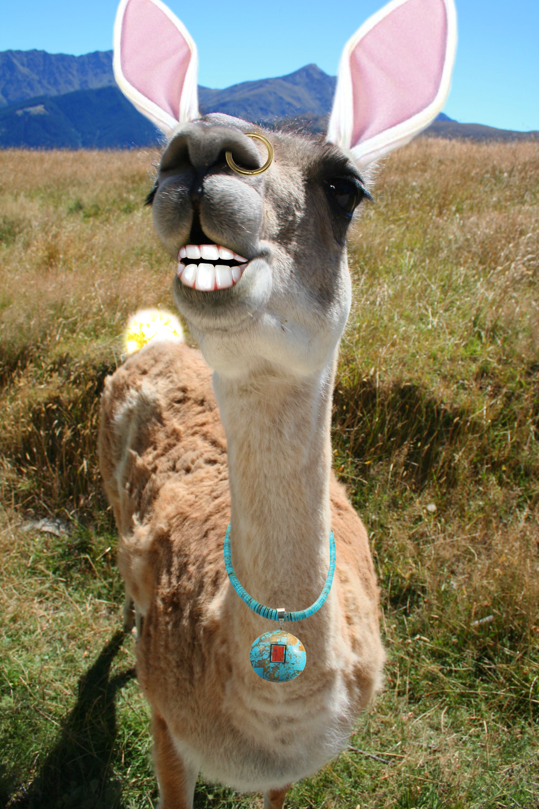 Photoshop Design by LazyLou2 for DesignCrowd (Community Contests) | Design #8951487