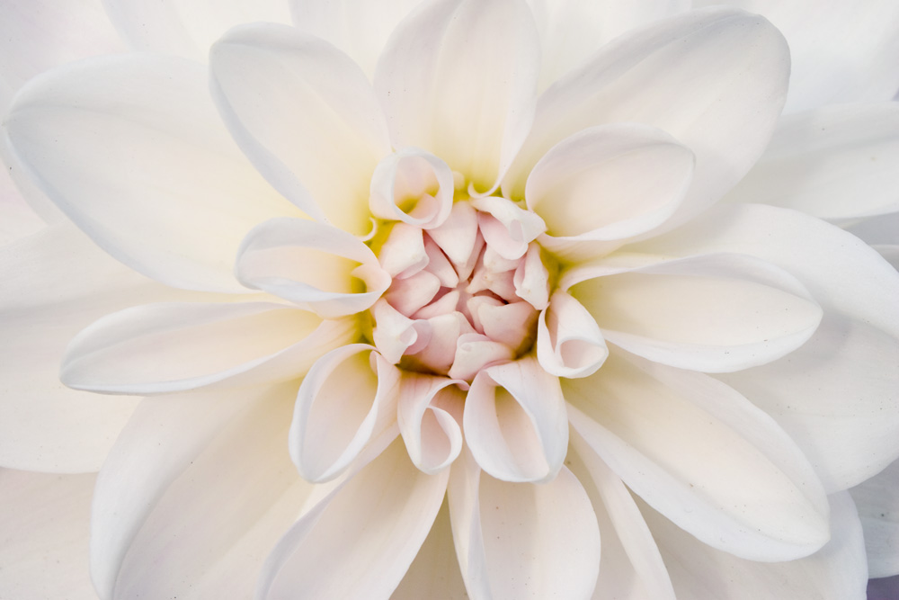 Photography by jglass for DesignCrowd (Community Contests) | Design #8948574