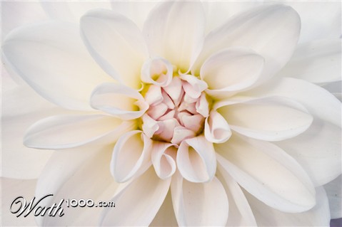 Photography by jglass