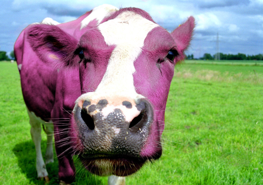 Photoshop Design by franor22 for DesignCrowd (Community Contests) | Design #8946751