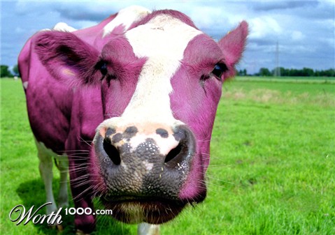 Photoshop Design by franor22