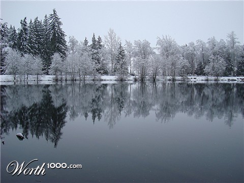 Photography by Francoise