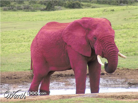 Photoshop Design by Mordey