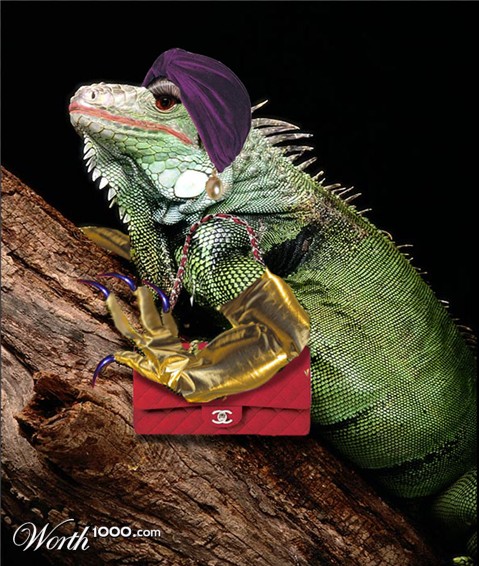 Photoshop Design by PeterAAAWelch