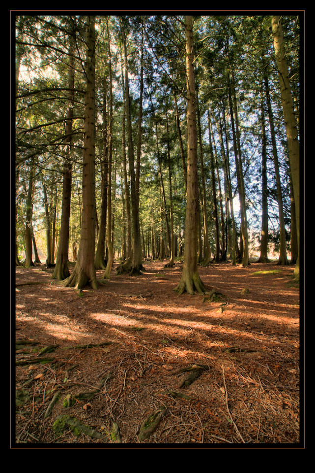 Photographie par Francoise pour DesignCrowd (Community Contests) | Design #8956557