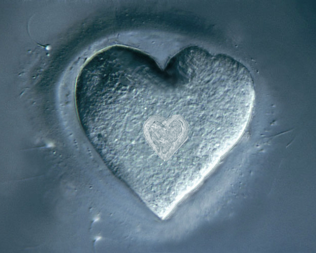 Photoshop Design by Nonian for DesignCrowd (Community Contests) | Design #8951570