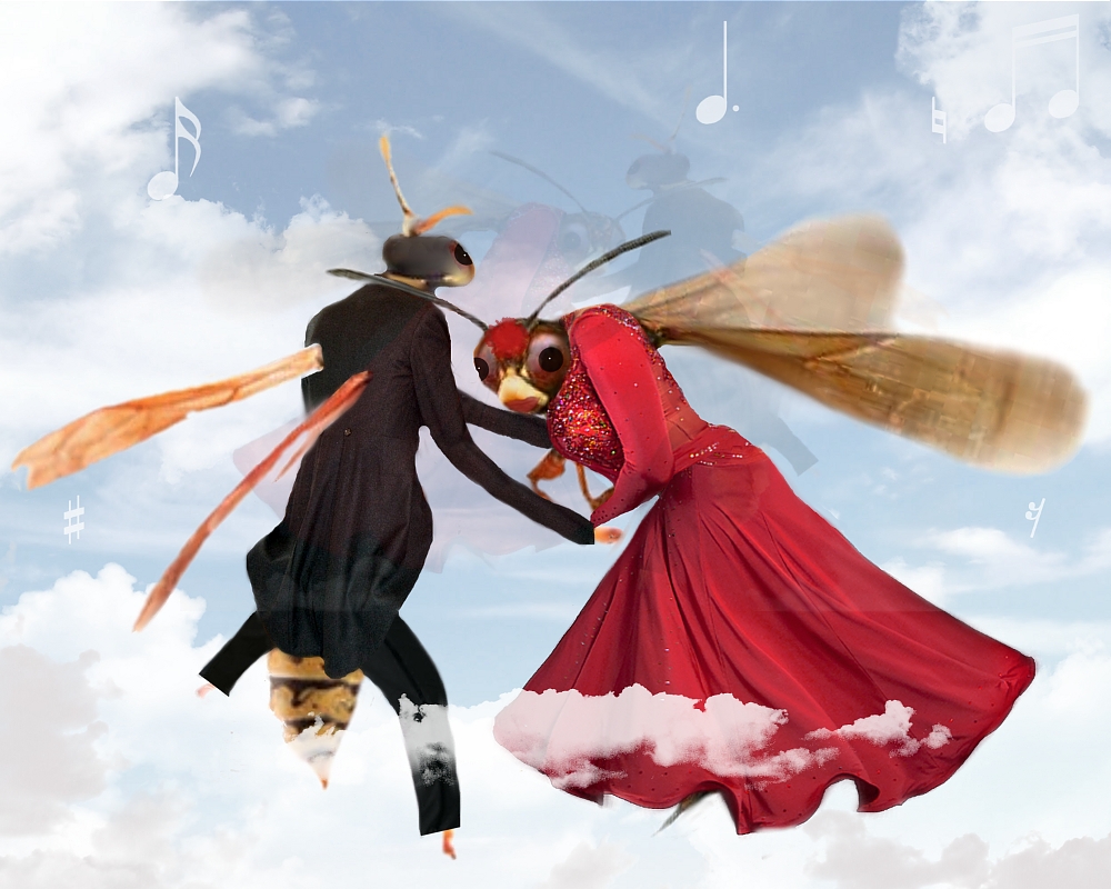 Photoshop Design by pamwatts62 for DesignCrowd (Community Contests) | Design #8951619