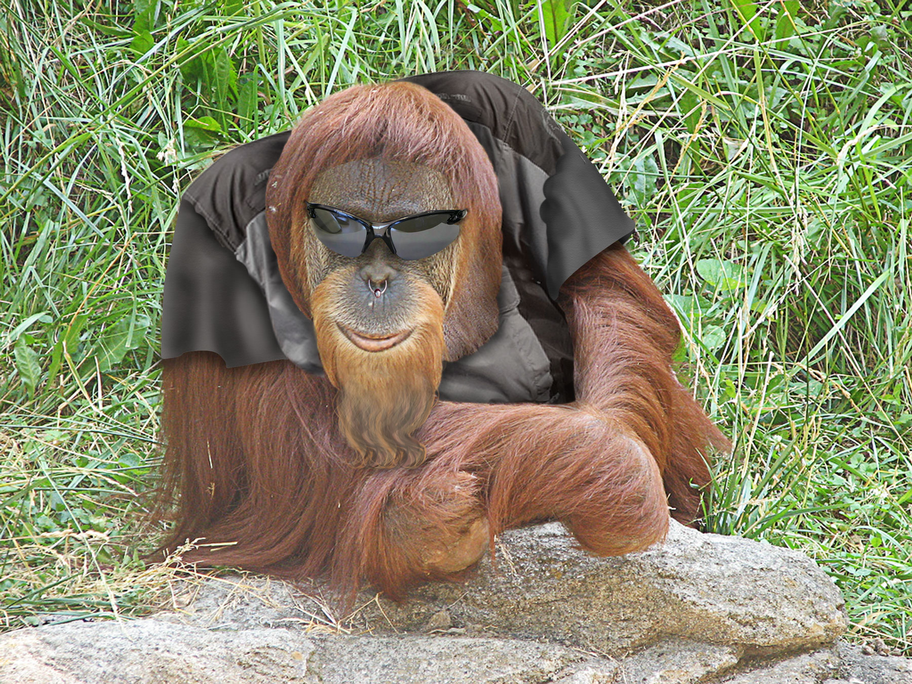 Photoshop-Design von PixelTestMT für DesignCrowd (Community Contests) | Design #8951602