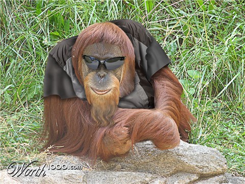 Photoshop Design by PixelTestMT