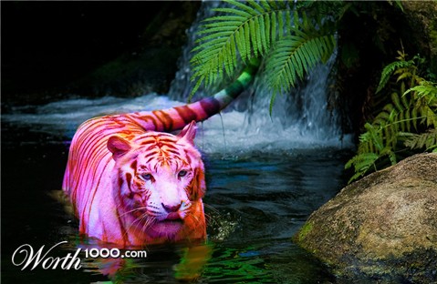 Photoshop Design by tsitrA