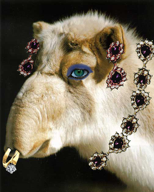 Photoshop Design by polypore for DesignCrowd (Community Contests) | Design #8951592