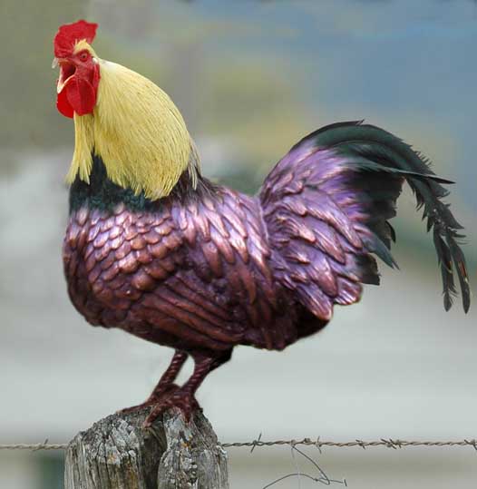 Photoshop Design by ricofrans for DesignCrowd (Community Contests) | Design #8948975