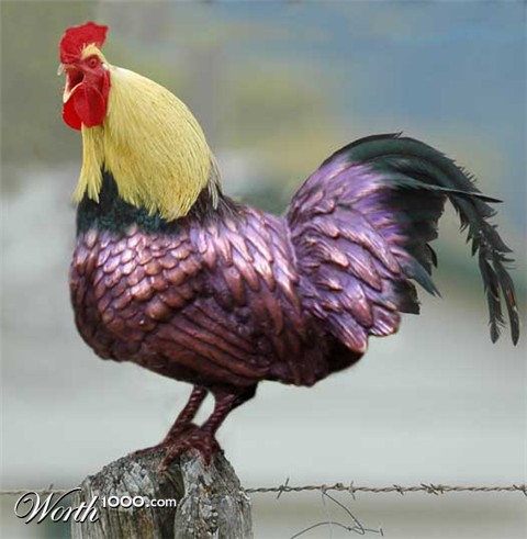 Photoshop Design by ricofrans