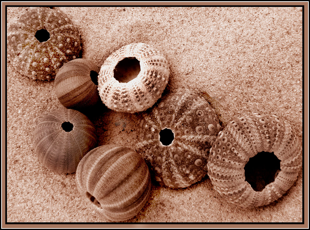 Fotografie von sgatanstu für DesignCrowd (Community Contests) | Design #8948545