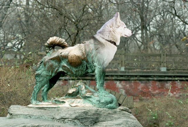 Photoshop Design by boetsjelke for DesignCrowd (Community Contests) | Design #8949076