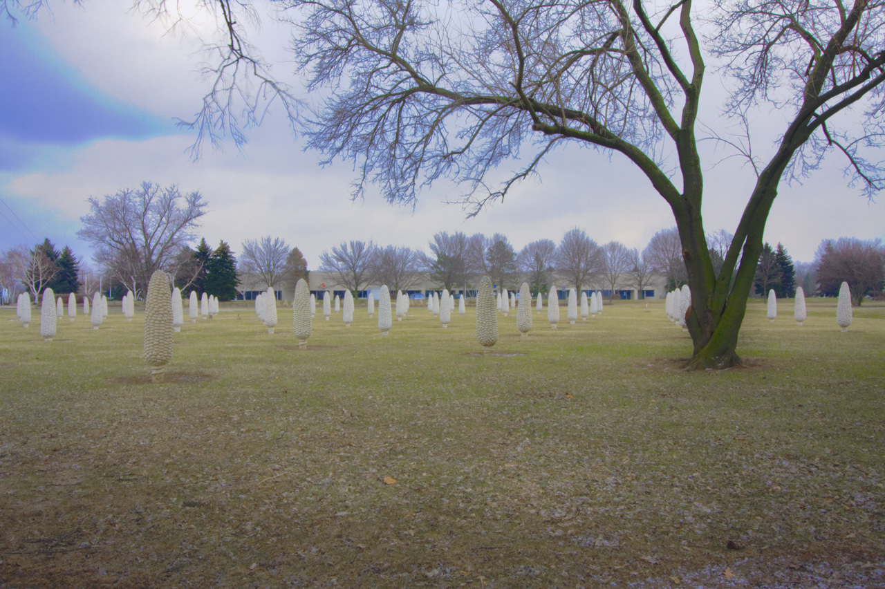 Photographie par ama168 pour DesignCrowd (Community Contests) | Design #8956538