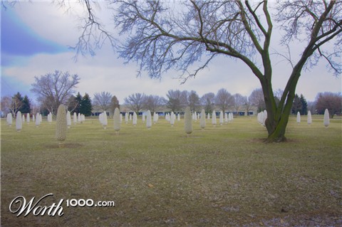 Photography by ama168