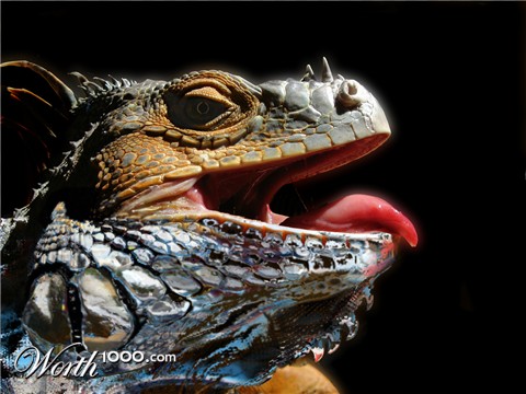 Photoshop Design by mole369