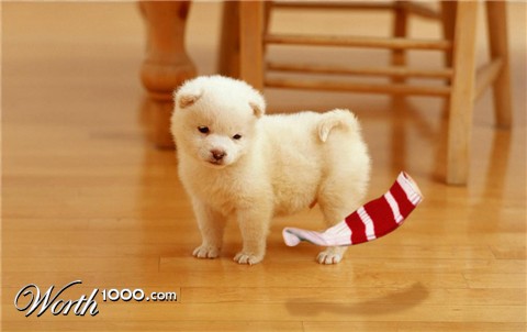 Photoshop Design by tropicalbear