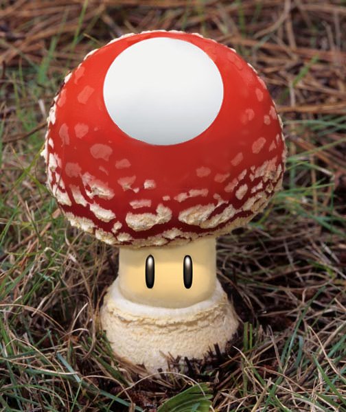 Photoshop-Design von woozlemonk für DesignCrowd (Community Contests) | Design #8949035