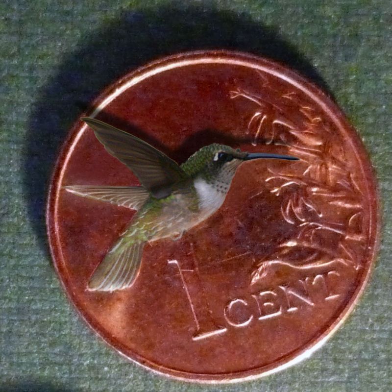 Diseño de Photoshop por gonzki para DesignCrowd (Community Contests) | Diseño #8949157