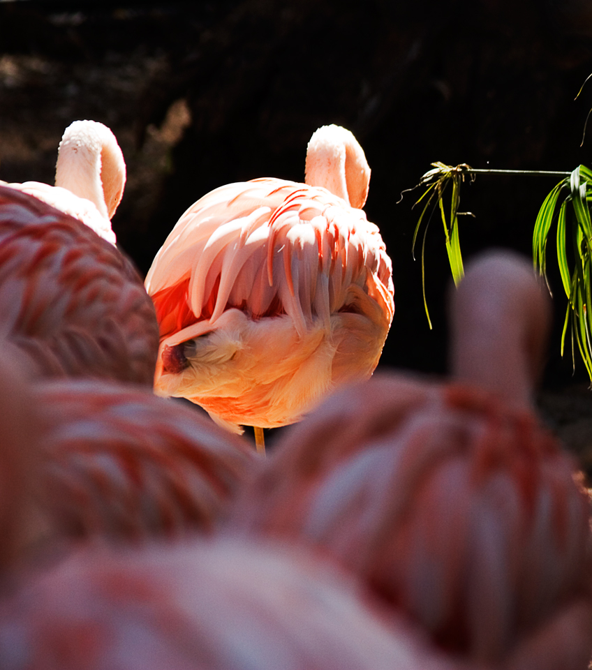 Photography by JHTheisen for DesignCrowd (Community Contests) | Design #8950618